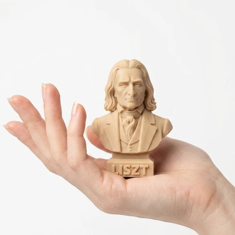 Franz Liszt Büst Magnet