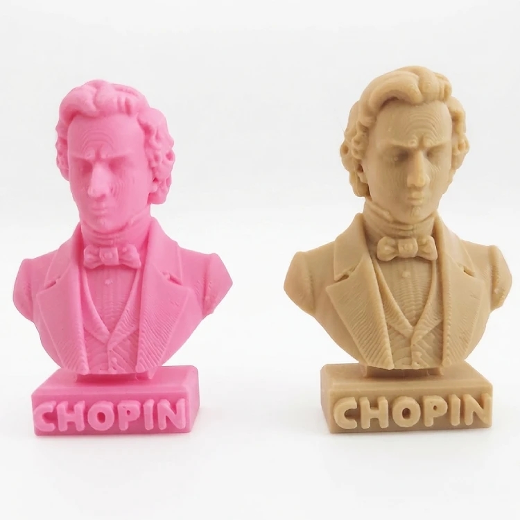 Frederic Chopin Büst Magnet
