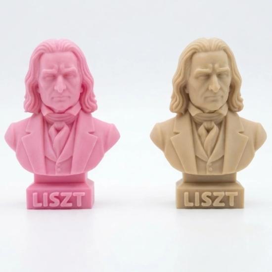 Franz Liszt Büst Magnet - İlham arayan müzisyenlere