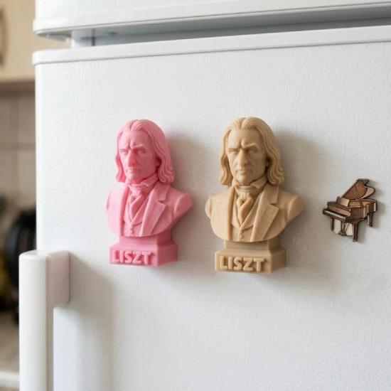 Franz Liszt Büst Magnet - İlham arayan müzisyenlere