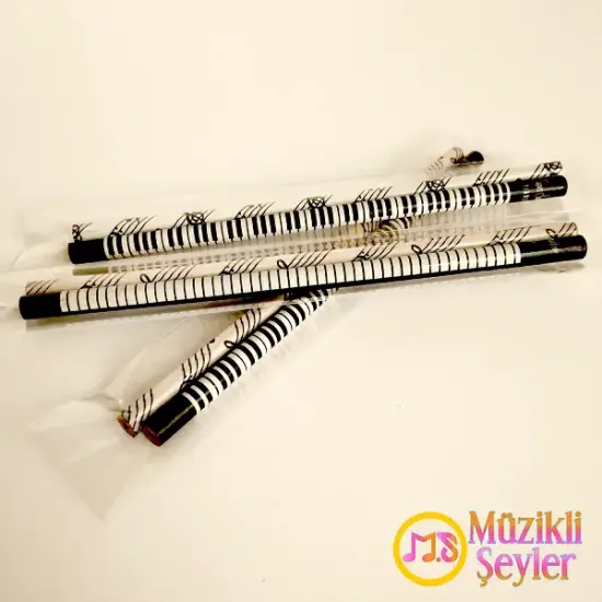 Piyano Kalem - Notalı Kalem Seti