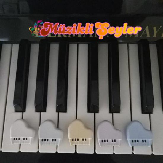Piyano Magnet